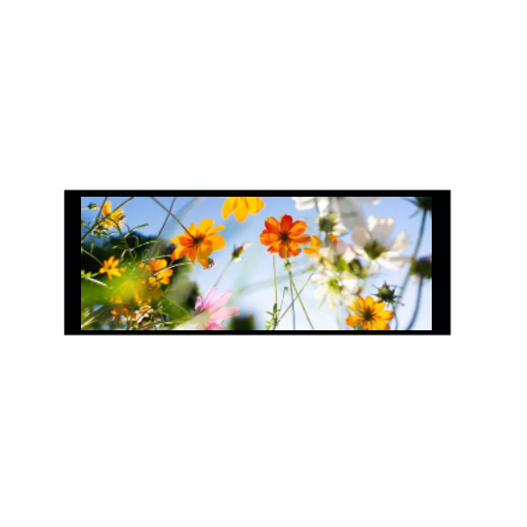 6.86 인치 480 × 1280 IPS TFT 모듈